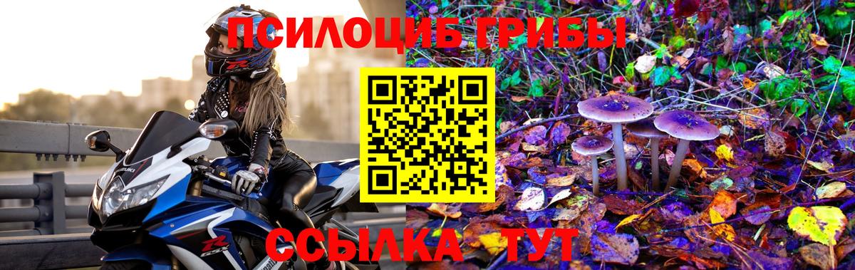 Псилоцибиновые грибы ЛСД Сергиев Посад
