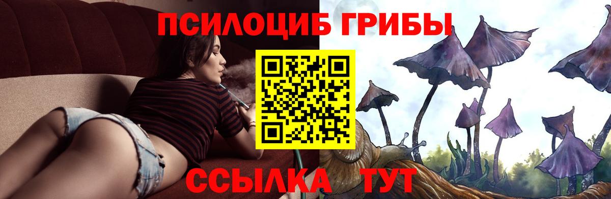 купить наркотик  Вход с VPN  Сергиев Посад  Галлюциногенные грибы Magic Shrooms 